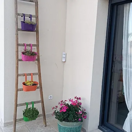 Maison Au Pied Du Mont Ventoux *